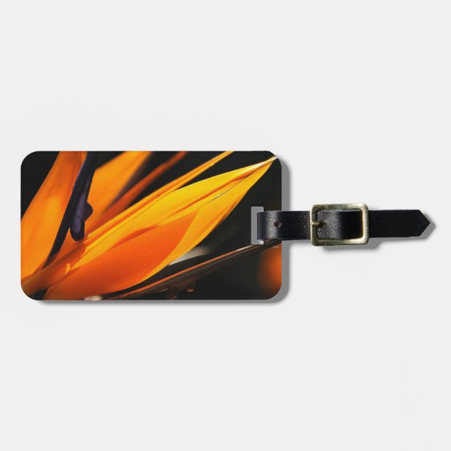 Etiqueta Para Maletas Strelitzia anaranjado de la ave del paraíso (Frente Horizontal)
