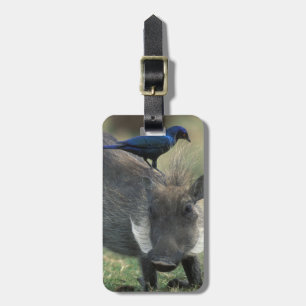 Etiqueta Para Maletas Sudáfrica, Distrito Federal de Pilanesburg, Wartho