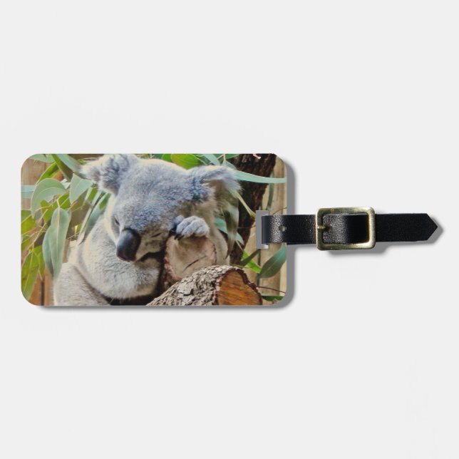 Etiqueta Para Maletas Sueño del oso de koala de Australia (Frente Horizontal)