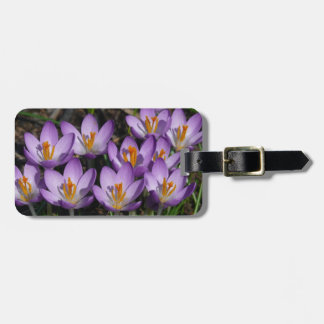Etiqueta Para Maletas Sunny Purple Crocuses