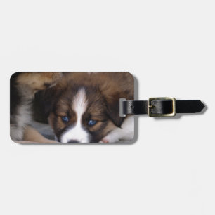 Etiqueta Para Maletas Super lindo pastor de pastor australiano