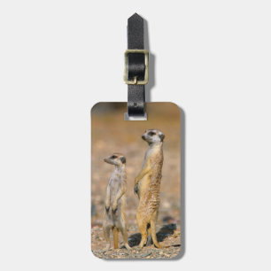 Etiqueta Para Maletas Suricatas (Suricata Suricatta) centinelas, Karas