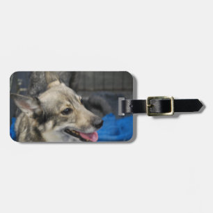 Etiqueta Para Maletas swedish-vallhund-2.jpg