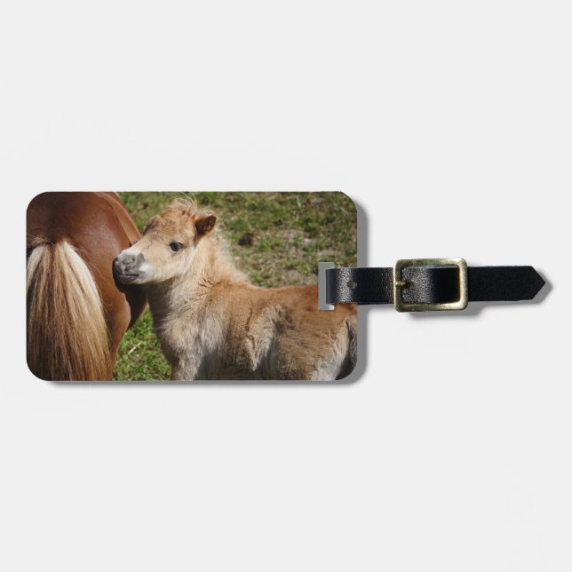 Etiqueta Para Maletas Sweet Haflinger Foal (Frente Horizontal)