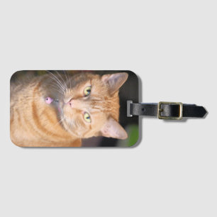 Etiqueta Para Maletas Tarjetas para jugar en bicicleta de gato