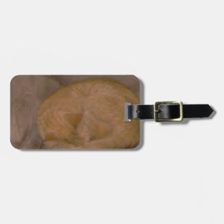 Etiqueta Para Maletas Tarjetas rayadas anaranjadas del gato, camiseta,