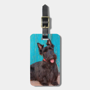 Etiqueta Para Maletas Terrier escocés sentado en una colorida puerta