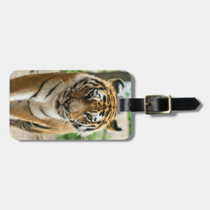 Etiqueta Para Maletas Tigre caminando por el bosque
