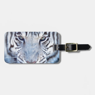 Etiqueta Para Maletas Tigre de Bengala blanco