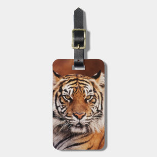 Etiqueta Para Maletas Tigre de Sumatra