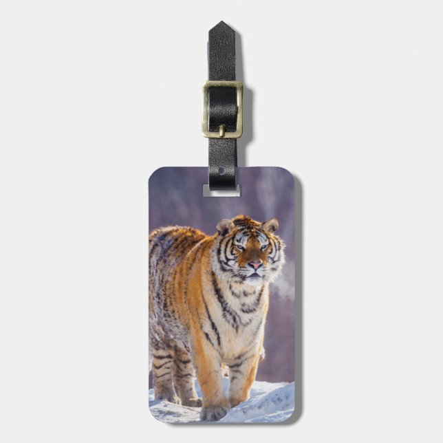 Etiqueta Para Maletas Tigre siberiano en la nieve, China (Frente Vertical)