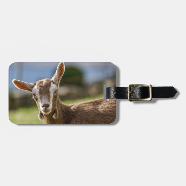 Etiqueta Para Maletas Togenburg Dairy Goat Kid (Frente Horizontal)