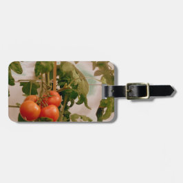 Etiqueta Para Maletas Tomates En Vino