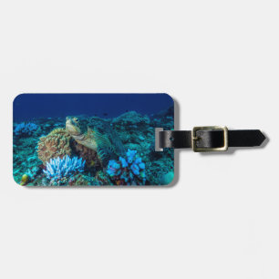 Etiqueta Para Maletas Tortuga de mar en la gran barrera de coral