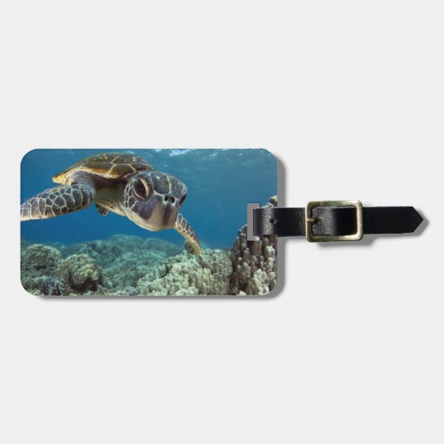 Etiqueta Para Maletas Tortuga de mar verde hawaiana (Frente Horizontal)