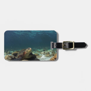 Etiqueta Para Maletas Tortuga marina verde relajante laguna submarina