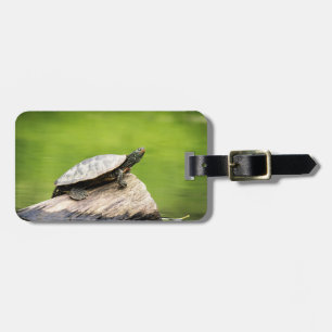 Etiqueta Para Maletas Tortuga pintada en un tronco