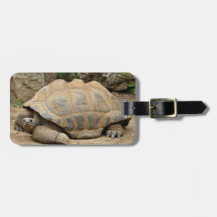 Etiqueta Para Maletas Tortuga sonriente