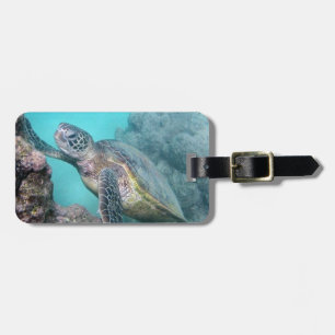Etiqueta Para Maletas Tortuga verde hawaiana