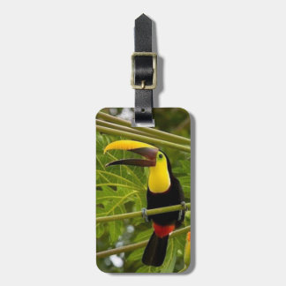 Etiqueta Para Maletas Toucan tropical