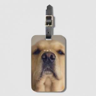 Etiqueta Para Maletas Tratado de equilibrio de la recuperación dorada en