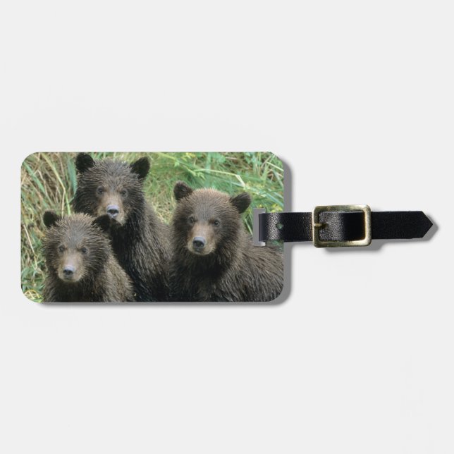 Etiqueta Para Maletas Tres oseznos grizzis o coys (Frente Horizontal)