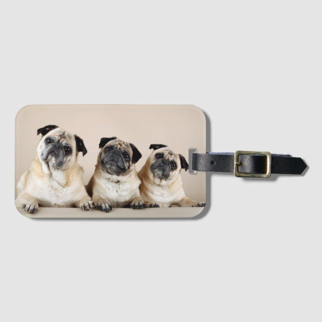 Etiqueta Para Maletas Tres Pugs En La Fila (Anverso horizontal)