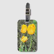 Tres tulipanes amarillos /