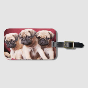 Etiqueta Para Maletas Trillizos Pug