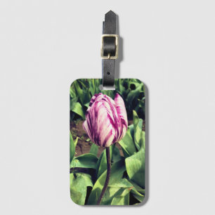 Etiqueta Para Maletas Tulipán de franja única púrpura y blanca