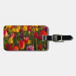 Etiqueta Para Maletas Tulipanes, Festival de Tulipanes, Woodburn, Oregón