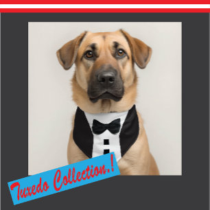 Etiqueta Para Maletas Tuxedo gracioso 🎩 el traje de neón negro formal
