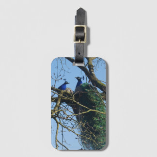 Etiqueta Para Maletas Two Peacocks in a Tree Luggage Tag