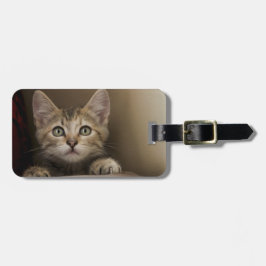 Etiqueta Para Maletas Un gatito muy dulce del Tabby