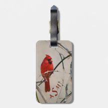 Un pájaro cardinal rojo en una rama en las maderas