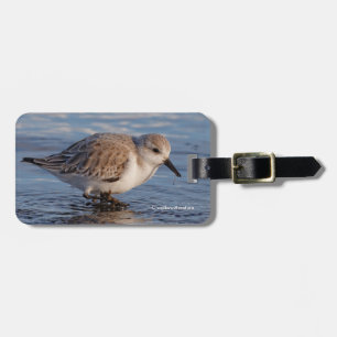 Etiqueta Para Maletas Un Sanderling