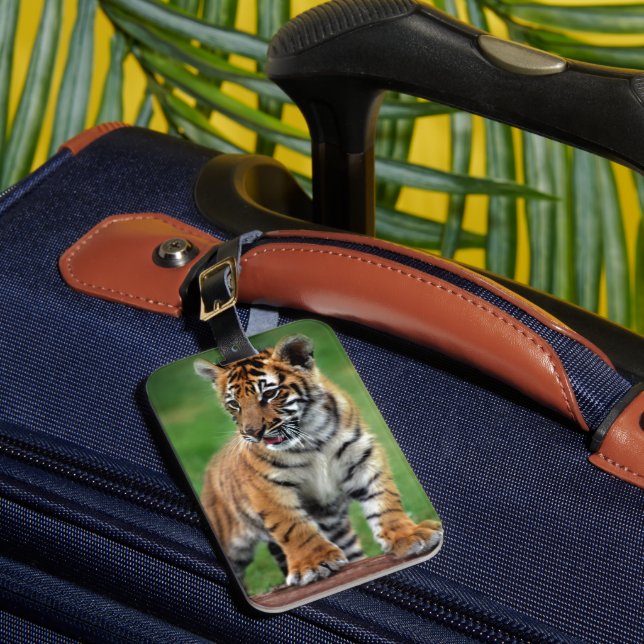 Etiqueta Para Maletas Un tigre bebé lindo (Anverso In situ 1)