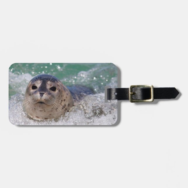 Etiqueta Para Maletas Una cría de foca haciendo surf (Frente Horizontal)