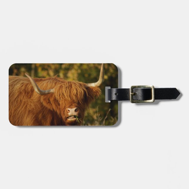 Etiqueta Para Maletas Vaca Highland escocesa (Frente Horizontal)