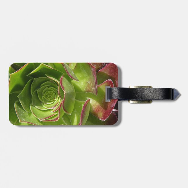 Etiqueta Para Maletas Verde (Atrás Horizontal)