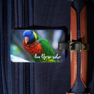 Etiqueta Para Maletas Vida en vivo de pájaro verde azul rojo en cita de 