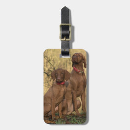 Etiqueta Para Maletas Vizsla Hound Dogs