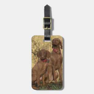Etiqueta Para Maletas Vizsla Hound Dogs