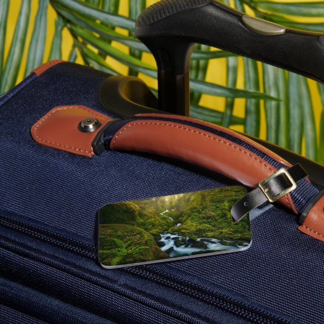 Etiqueta Para Maletas Waterfalls | Olympic National Park, Washington (Anverso In situ 3)