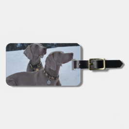 Etiqueta Para Maletas Weimeraner en la nieve