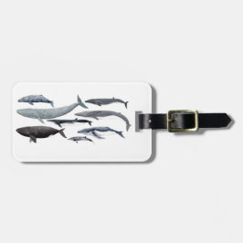 Etiqueta Para Maletas Whales and right whales
