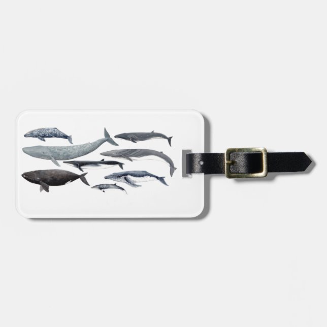 Etiqueta Para Maletas Whales and right whales (Frente Horizontal)