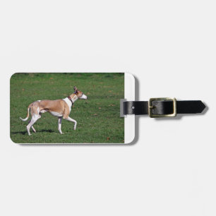 Etiqueta Para Maletas whippet-full.png