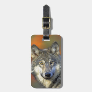 Etiqueta Para Maletas Wolf_2015_0302