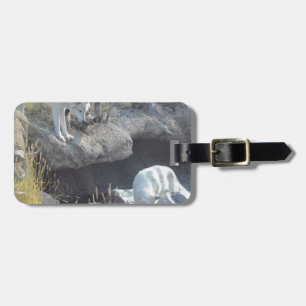 Etiqueta Para Maletas Wolves Forest Nature Country Peace Love Animal